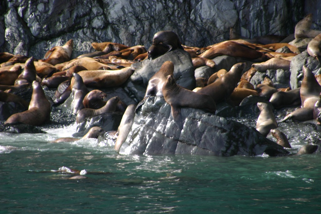 [AK09 Leg 25, Valdez, Day 2 048[5].jpg]