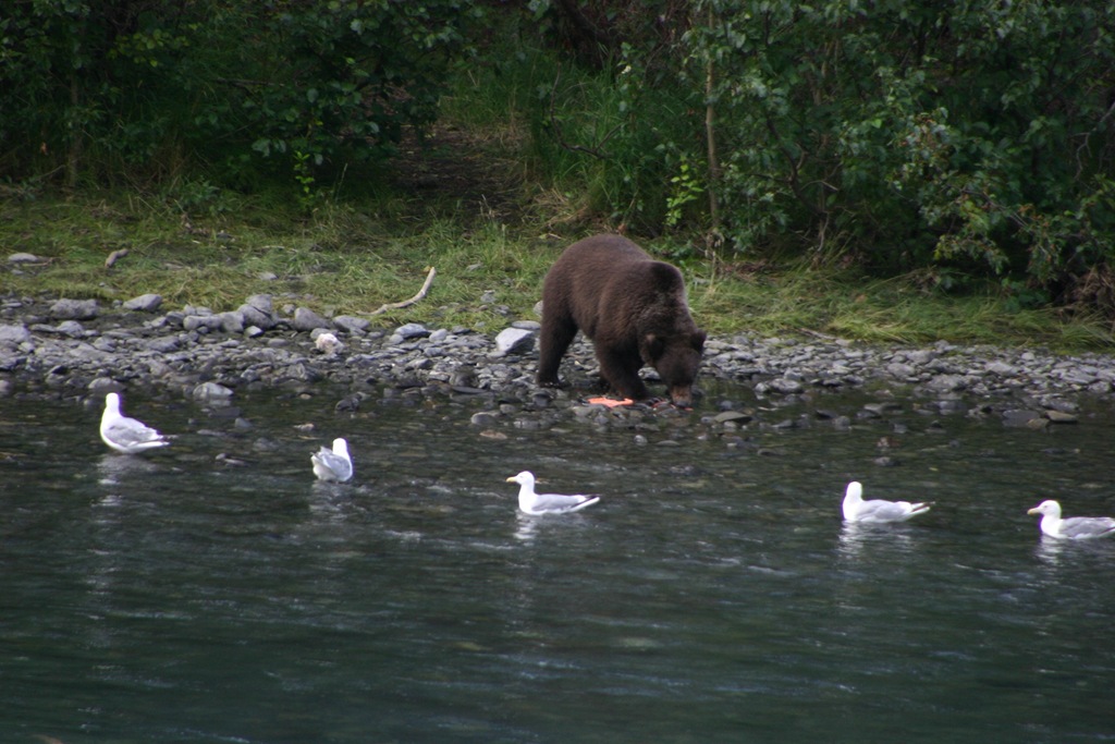 [AK09 Leg 22, Seward to Homer, 2 005[4].jpg]