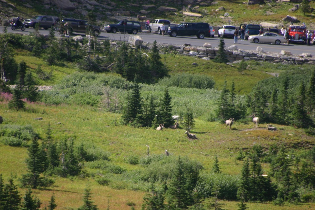 [Glacier National Park, etc. 2007 068[4].jpg]