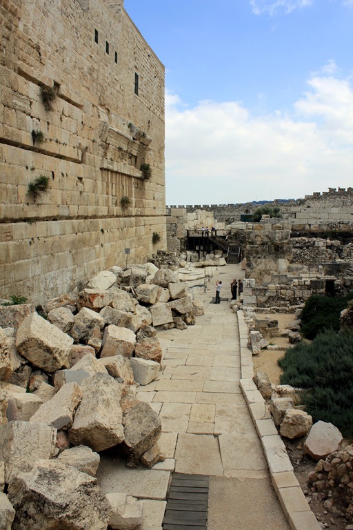 [IMG_0652 blog[4].jpg]