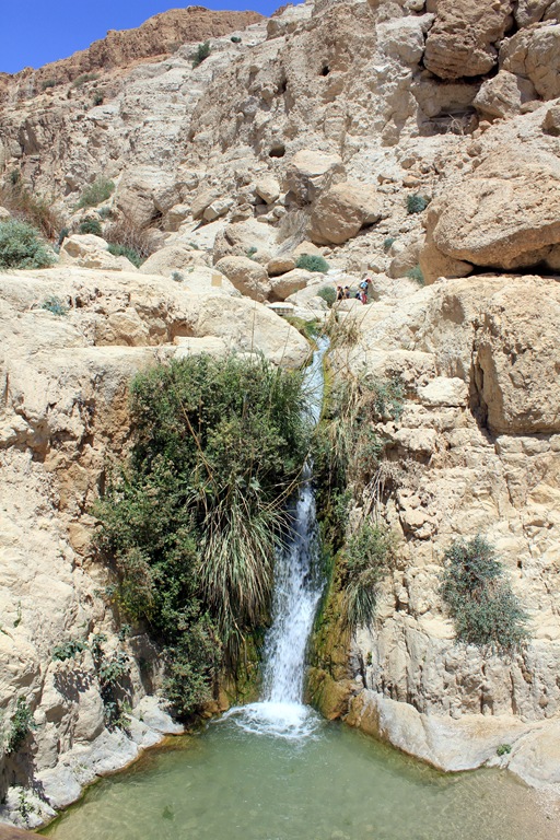 [IMG_0714 blog[5].jpg]