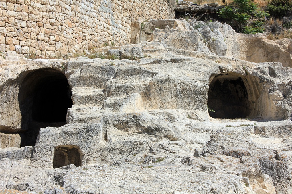 [IMG_0796 blog[5].jpg]