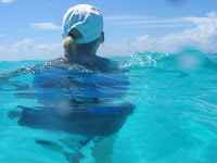 Img0062.jpg