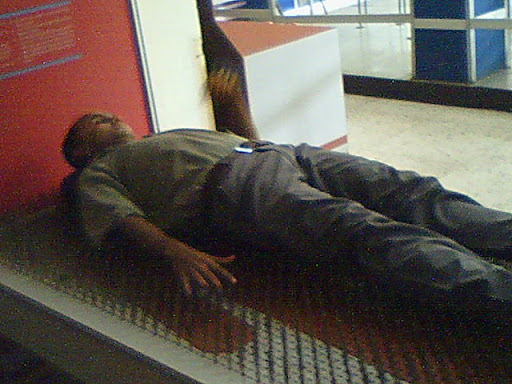 Img00447.jpg