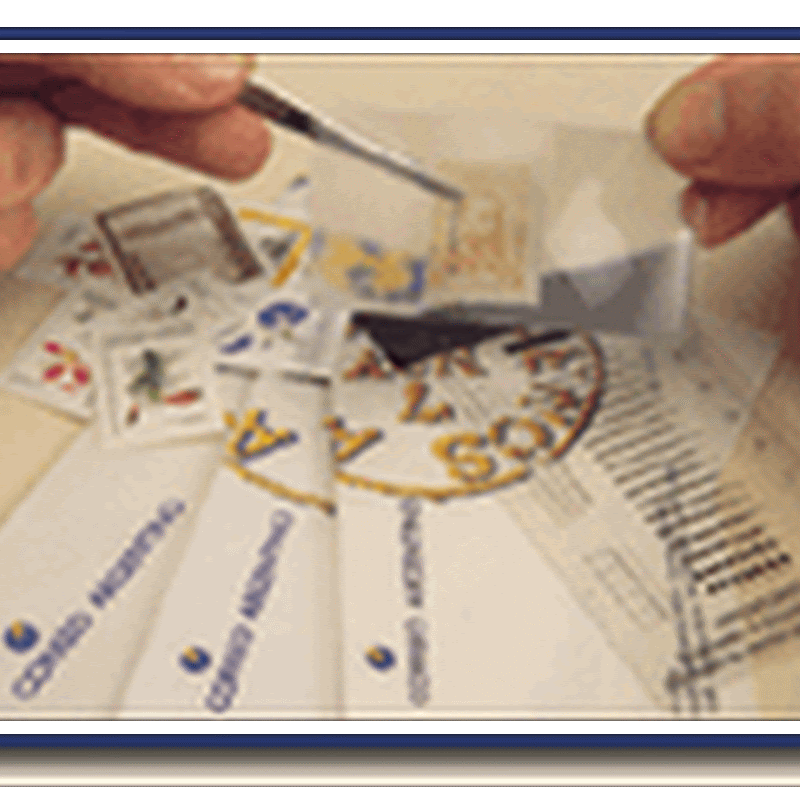 La Filatelia, una pasión universal que une a chicos y grandes.