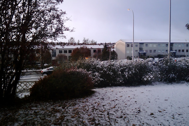 IMAG0004.jpg