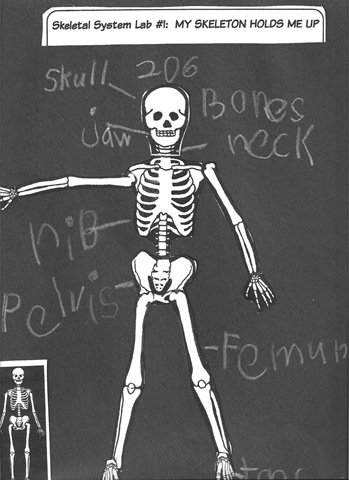 [Skeleton[7].jpg]