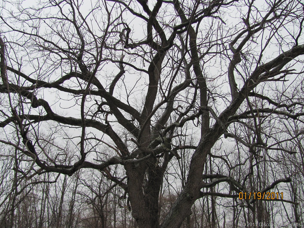 [IMG_1473[6].jpg]