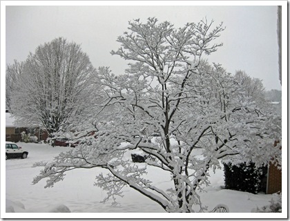 snowstorm#3_0016_edited-1