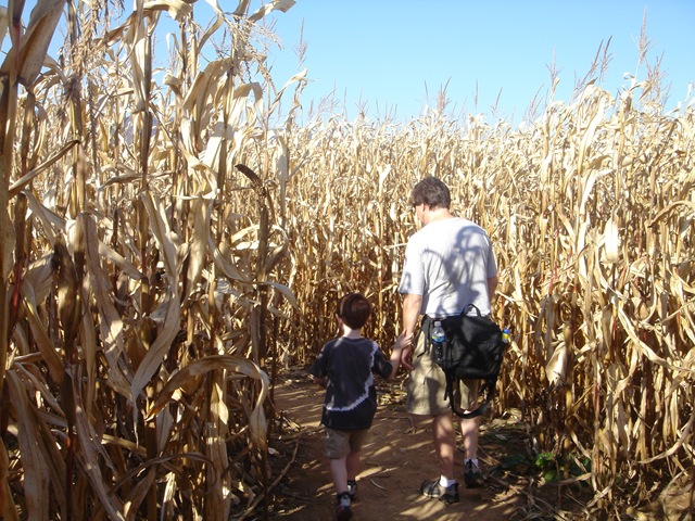 [CornMaize09_0845[2].jpg]