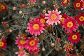 IMG_3860_1.jpg