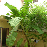DSCN1441.JPG