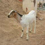 DSCN1542.JPG