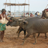 DSCN1556.JPG
