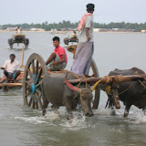 DSCN1562.JPG