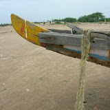 DSCN1512.JPG