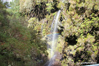 IMG_8258.JPG Photo