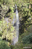 IMG_8254.JPG Photo