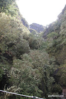 IMG_8259.JPG Photo