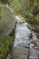IMG_8297.JPG Photo