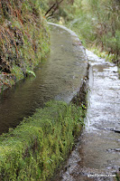 IMG_8298.JPG Photo