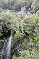 IMG_8303.JPG Photo