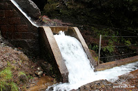 IMG_8309.JPG Photo