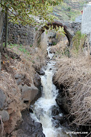 IMG_8337.JPG Photo