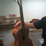 How the vine guitar will look once finished and assembled.