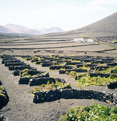 [Lanzarote_LaGeria[3].jpg]