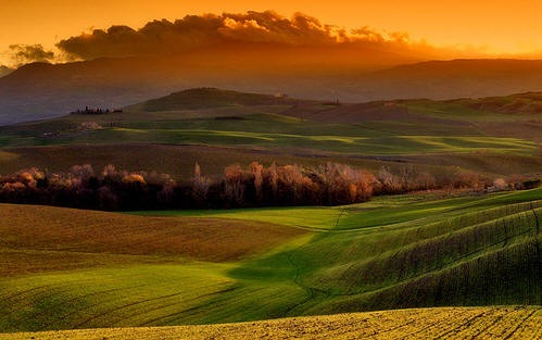 [toscana[4].jpg]