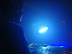 DSC01016.JPG