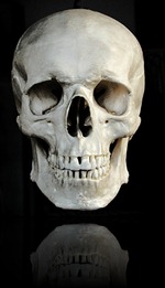 Cranio-2a[1]