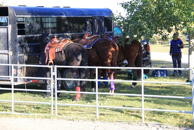 [Equine-1[4].jpg]