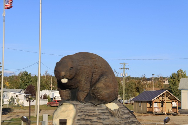[Beaverlodge-1[3].jpg]