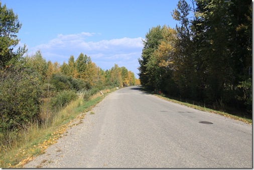 Down the Road from Dogpound