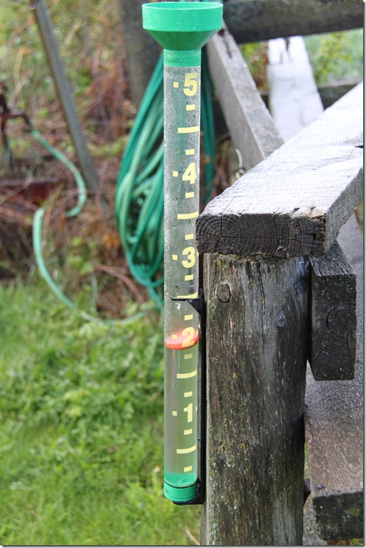 Rain Guage - yep 2 inches!!