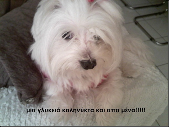 IMG029ρρ IMG029ρρ