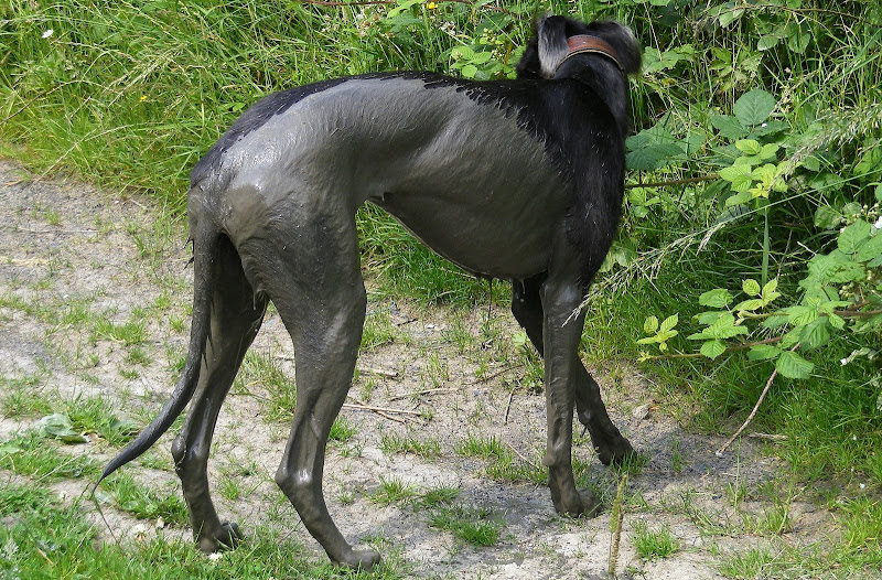 DSCF3511.jpg