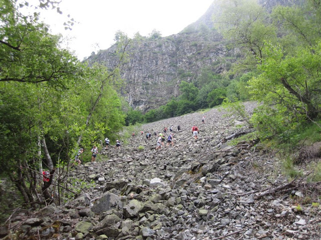 El paso por el pedregal (Foto Patricia B. picasa)