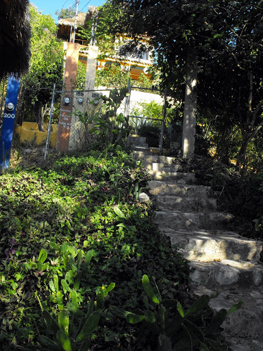 palapa