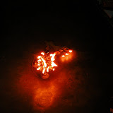 DSCN4008.JPG