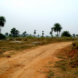 Drive to the land