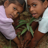 Mytree-Myworld02.jpg