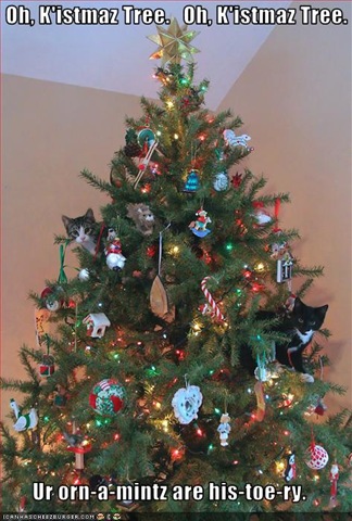 [funny-pictures-kittens-will-destroy-your-ornaments[8].jpg]