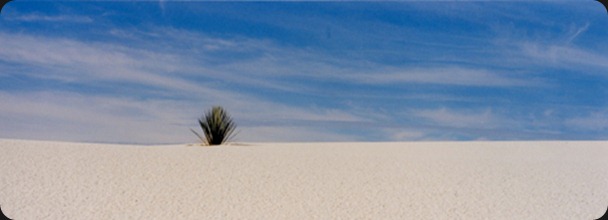 Marty_Carden_White_Sands_13