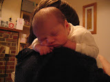 photo 320.jpg