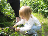 pic 081.jpg
