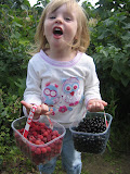 pic 089.jpg