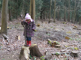 photo 095.jpg